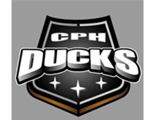 The Copenhagen Ducks