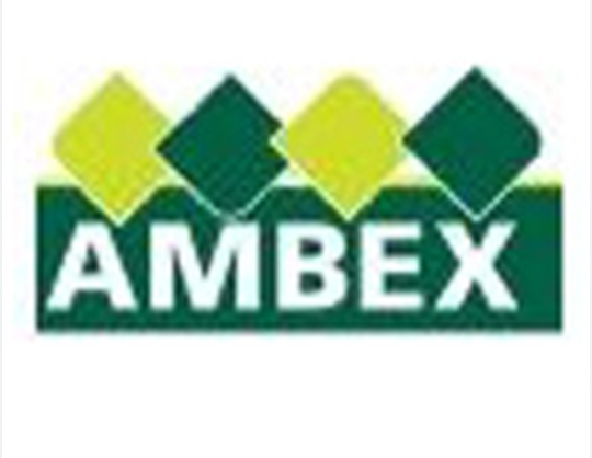 Ambex 2003